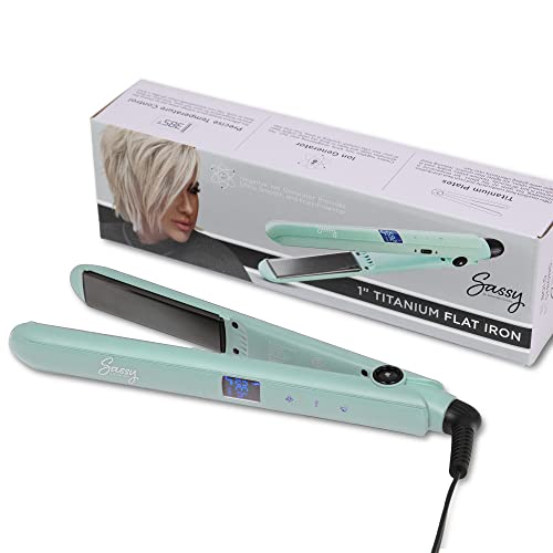 Plancha de Pelo Titanium 1'' con Control de Temperatura miniatura 1