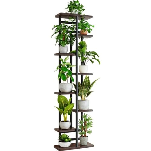 Sefoemutt[X^h 5 iKiAI kX^CI S؍ސw|bgX^h |[bN oRj[rOp (8w9,ubNI[N)