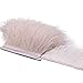 BellyFish 1 Metros/Lote Avestruz Plumas Cinta 8-1 0cm Disfraz de Cinta Black Blanco Avestruz Pluma con Borde Franja Franja Artesanía ANDICRAFT Accesorios (Color : 01, Size : 18-22cm)
