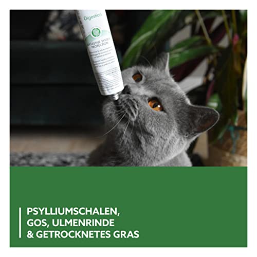 GimCat EXPERT LINE Gastro Intestinal Paste - Funktionaler Katzensnack unterstützt Verdauung und Darmflora - 1 Tube (1 x 50 g)
