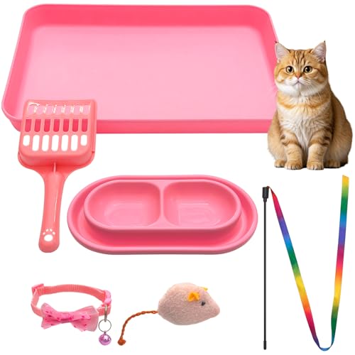 Kitten Starter Kit para gatitos en interior, incluye arenero rosa miniatura 1