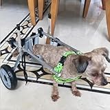 Rollstuhl für kleine bis mittelgroße Hunde – Zweirädrige Mobilitätshilfe für Hunde mit...
