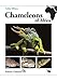 Produktbild Chameleons of Africa - An Atlas including the chameleons of Europe, the Middle East and Asia: Vorwort von Bill Branch