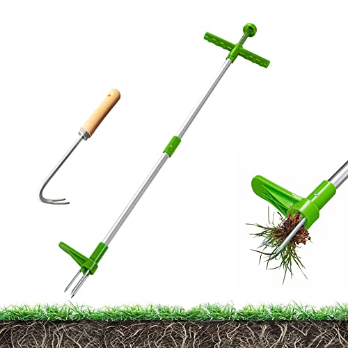 Top 10 Best Weed Removal Tool Top Picks 2023 Reviews