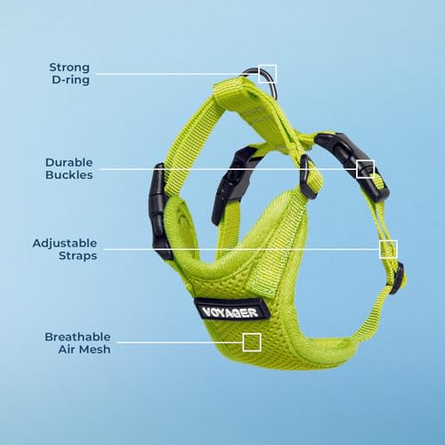 Image of Voyager Step-in Pet Harness - All Weather Mesh, Adjustable Step in Harness for Cats and Dogs by Best Pet Supplies - Lime Green, M