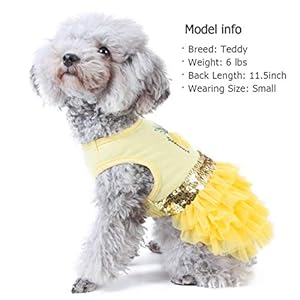 KYEESE Dog Dress Pineapple Yellow Tiered Dogs Beach Dresses with Sequins Cat Dress Small KYEESE Dog Dress Pineapple Yellow Tiered Dogs Beach Dresses with Sequins Cat Dress Small