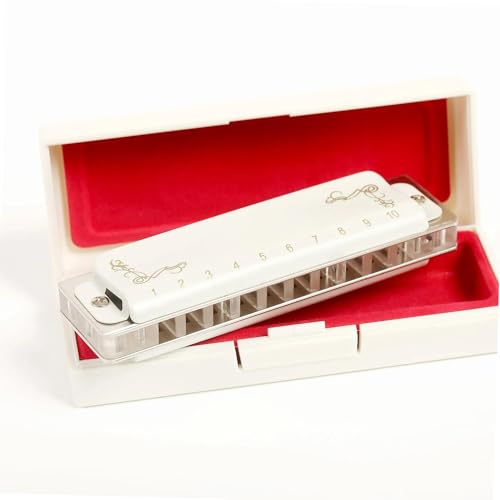 n[jJ 10n[jJ vtFbViu[X_CAgjbNn[jJ SҌ(DB Tone)