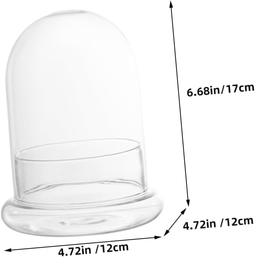 2pcs Eco Bottle Moss Glass Landscape Bottle DIY Micro Garden Container for Home Office Decor