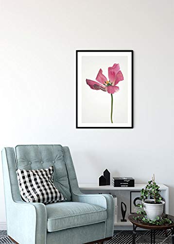 Komar Wall Picture Tulip Poster Picture Living Room Bedroom Decoration Art Print Without Frame P067-50x70 Size 50x70 cm (Width x Height) - Image 4