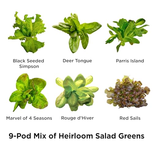 AeroGarden Heirloom Salad Greens Mix Seed Pod Kit - Salad Kit for AeroGarden Indoor Garden, 9-Pod