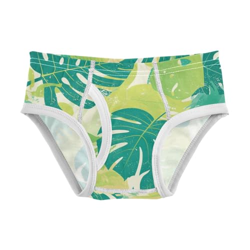 KLL Leaves Monstera Blots Little Boys Comfort Underwear Briefs Cute Children Undies