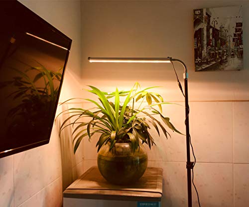 Floor Lamp Grow Light, 28W LED Floor Stand Growing Light with Flexible Gooseneck, White and Red Light Spectrum for Indoor Plants, Seedling, Hydroponic, Basement Plants to Survive Cold Days - Thumbnail 5