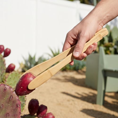 Pinzas para cactus con mango largo de 30 cm 5