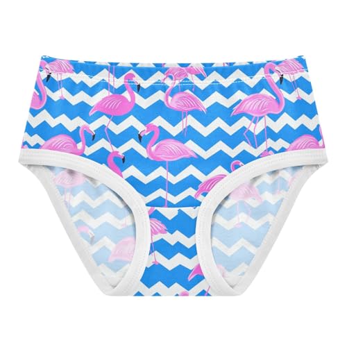 Wusikd Pink Flamingos Girls' Underwear Cotton Blue White Girls Briefs Soft Toddler Underwear 2T