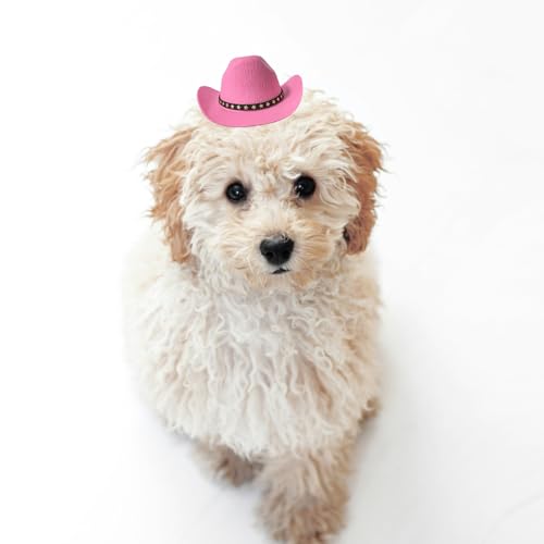 AWOCAN Cowboyhut für Hunde, Katzen, Cowboyhut, Mini-Cowboyhut für Hunde, Katzen, Urlaub, Halloween, Haustier-Party-Dekoration (Rosa, klein)