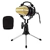 Shangya Microfoon BM-700 USB Professional condensor