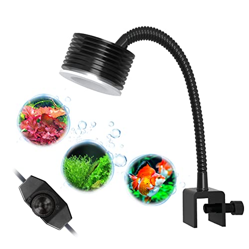 Lominie LED Aquarium Light Dimmable et Minuterie Nano Planted Tank Light 6500K avec col de Cygne, pour Plantes d'eau Douce Aquarium Fish Tank Refugium (F20 Freshwater)