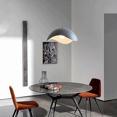 Lustre en fer E27 pour remplacer un plafonnier classique daté - 4
