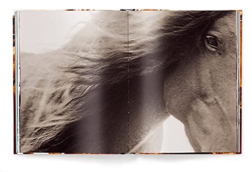 The Wild Horses of Sable Island: The Wild Horses of Sable Islands -promo-