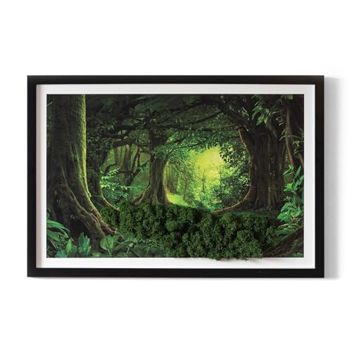 Peinture murale Tulup image de la mousse pour revitaliser un salon terne avec cadre noir 60x40