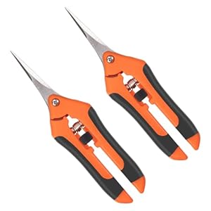 2 tijeras de jardÃ­n, podadoras de jardÃ­n, tijeras de jardÃ­n, tijeras jardineria,tijeras de acero inoxidable
