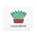 Cactus Potted Green Succulents Cleaning Cloth Screen Cleaner 2pcs Suede Fabric