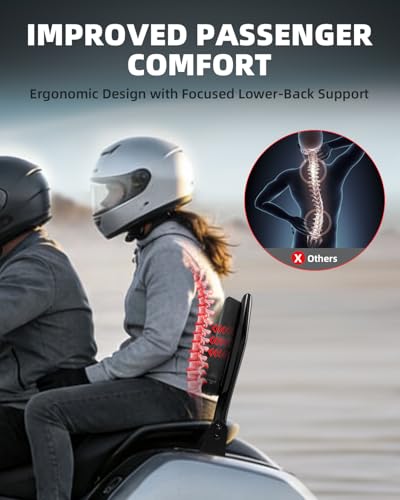 Aunseek Sissy Bar Backrest for Harley Touring