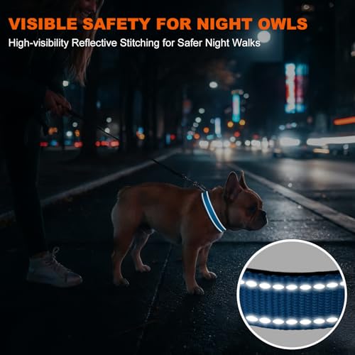 Image of Taglory Reflective Small Dog Collar, Comfort for Safe Night Walks, SkyBlue
