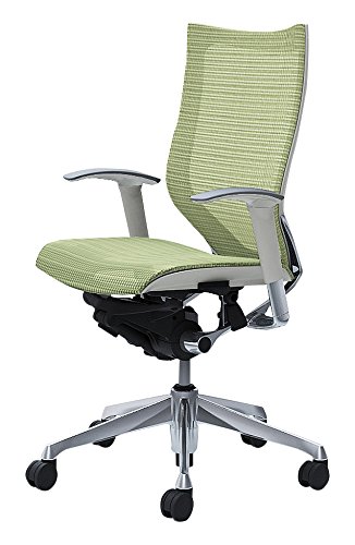 オカムラ 岡村製作所 デスクチェア オフィスチェア バロン ハイバック 可動肘 座メッシュ ピスタチオ CP85AW-FEH6