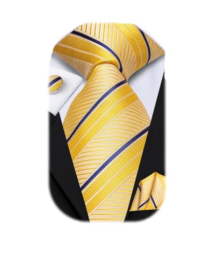 Image of Dubulle Silk Ties Set for Men Formal Paisley Striped Necktie Pocket Square Cufflinks 3PCS Sets Wedding Business Party