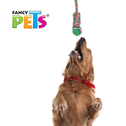 Gimnasios Y Tapetes, Toy Imagen adicional