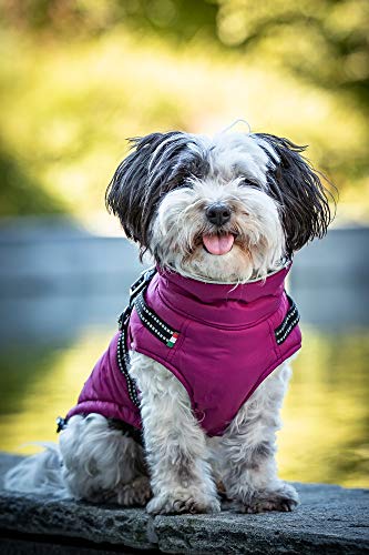 CHIARA Winterjacke mit Geschirr Modell MAX Größe S (Material: 100% Polyester, Hundewinterjacke mit integriertem Fleece-Futter, Step-in, anpassbare Länge, maschinenwaschbar), Farbe: Violett