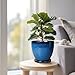 EPFamily Ceramic Planters for Indoor Plants - 6.8 Inch Plant Pot with Drainage Hole and Saucer Round Modern Planter Home Garden Patio Decor Blue