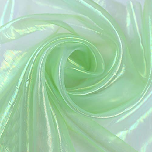 moonfarm 選べる11色 オーロラ オーガンジー 生地 1m×150cm 手芸 カラー 透明 無地 布 ライトグリーン