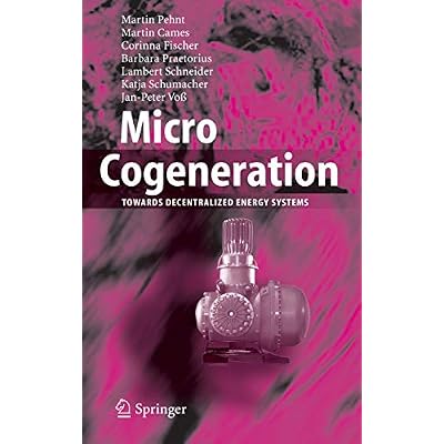 Micro Cogeneration
