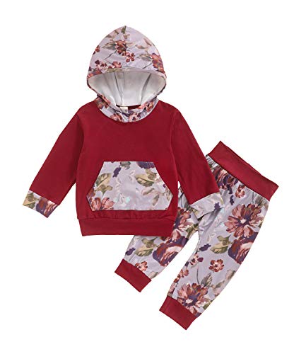 Newborn Baby Girl Clothes Long Sleeve Flower Hoodie Sweatshirt Top Floral Pant Fall Outfits Set(18-24 Months)