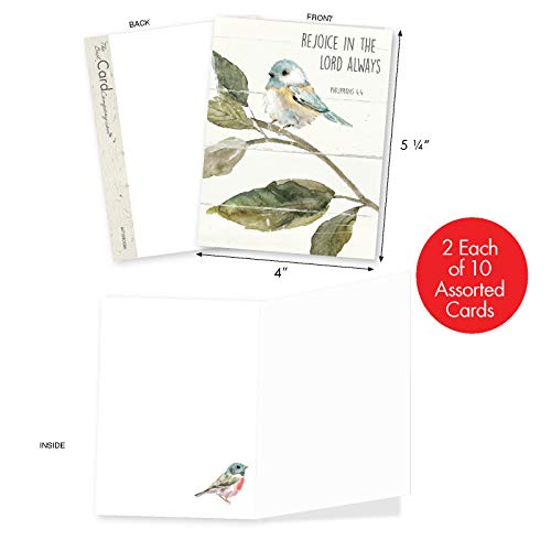 The Best Card Company - 20 Blank Notes With Envelopes - All Occasion Animal Assortment (10 Designs, 2 Each) - Scripture Birds Am7108Ocb-B2X10 #TOP1