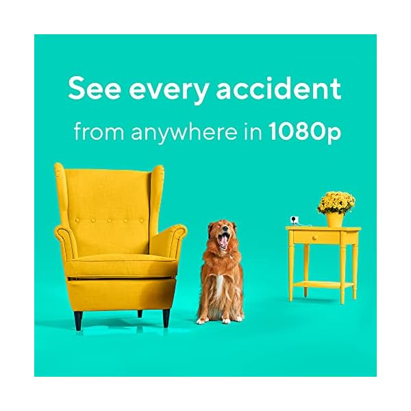 Wyze-Cam-v2-1080p-Indoor-Pet-Monitoring-Camera-with-Wyze-32GB-MicroSD-Card-Class-10 Indoor Pet Monitoring Camera