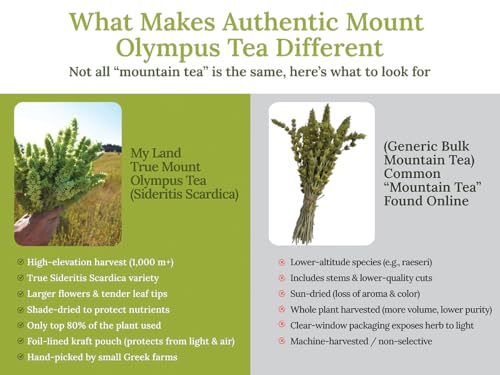 My Land Organic Greek Mountain Tea (Sideritis Scardica) – Loose Leaf Ironwort Handpicked on Mount Olympus, Greece, 1.76oz (50g) | Organic Caffeine-Free Herbal Tea with Floral & Earthy Notes
