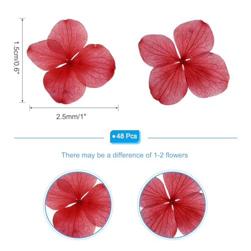 Flores prensadas secas rojas, 48 unidades para manualidades miniatura 2