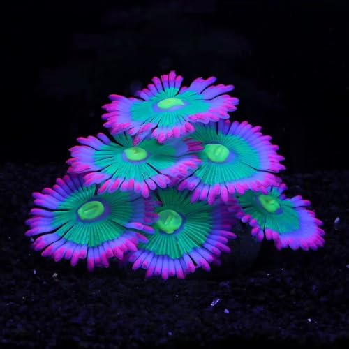 ZtohPyo Glowing Effect Soft Anemone Aquarium Fish Tank Decorations Silicone Glow in The Dark Artificial Ornament Plants for Aquarium Landscape Small/Large Fish Bowl Decor Accessories