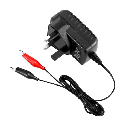 NASTIMA 6V 500mA Sealed Lead-Acid(SLA) Battery Charger, with Short-Circuit and Over-Charge Multiple Protections, for Lead-Acid Battery Cars, Ride-On Toys, Motorcycles, Electric Vehicles, ATVS