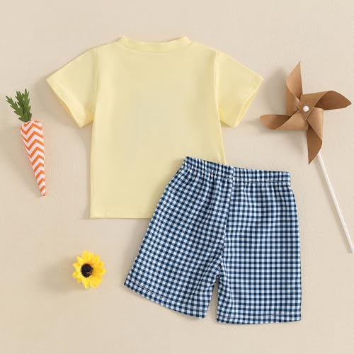 Image of Toddler Baby Boy Easter Rabbit Outfit Short Sleeve Bunny Carrot Smocked T-shirt Elastic Waist Shorts Summer Clothes