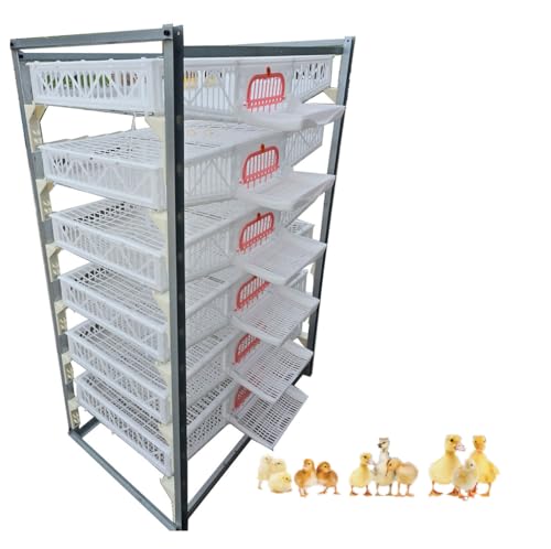 6-Layer Stackable Quail Coop (generic).