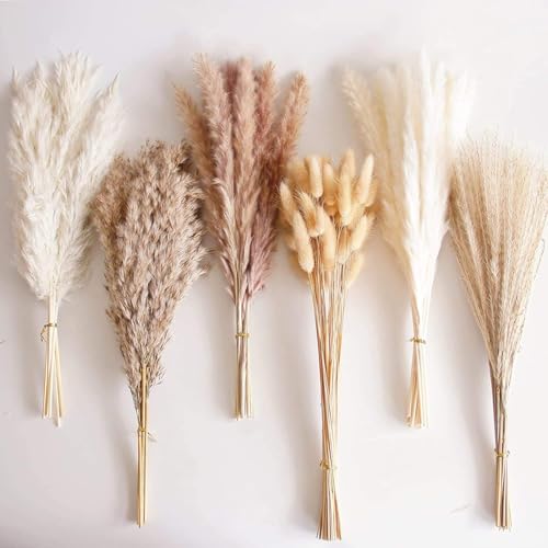 Ramo de Hierba Pampas Grande Seco Decorativo 30 piezas miniatura 2