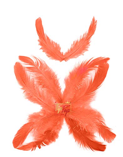 Image of Natural Dyed Feathers 10 cm (80 pieces) (Coral Peach)