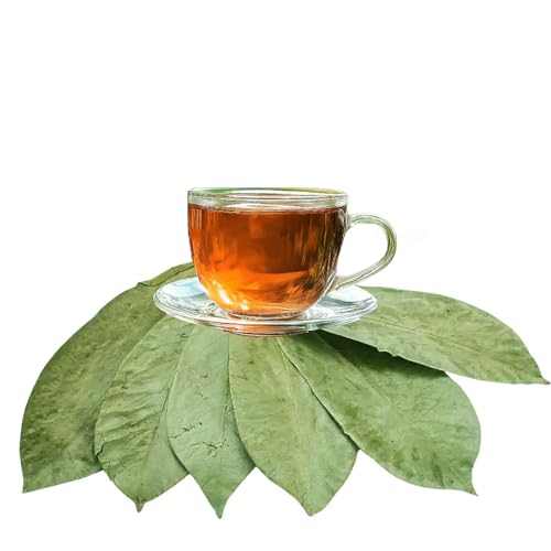 Purelife Herbs® Wildcrafted Soursop (Guanabana, Graviola, Guyabano) Dehydrated 1000 Leaves (±250g, ±8.8oz)