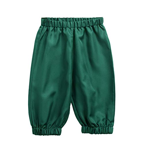Boys Colonial Costume 18th Century Pilgrim Costume Boys Knicker Pants Green