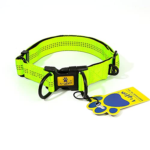 A+a Pets’ Neoprene Padded Dog Collar | Waterproof Comfortable with Reflective Stitches (Fluorescent Green) (B09B2FY9HL) Amazon Price History, Amazon Price Tracker