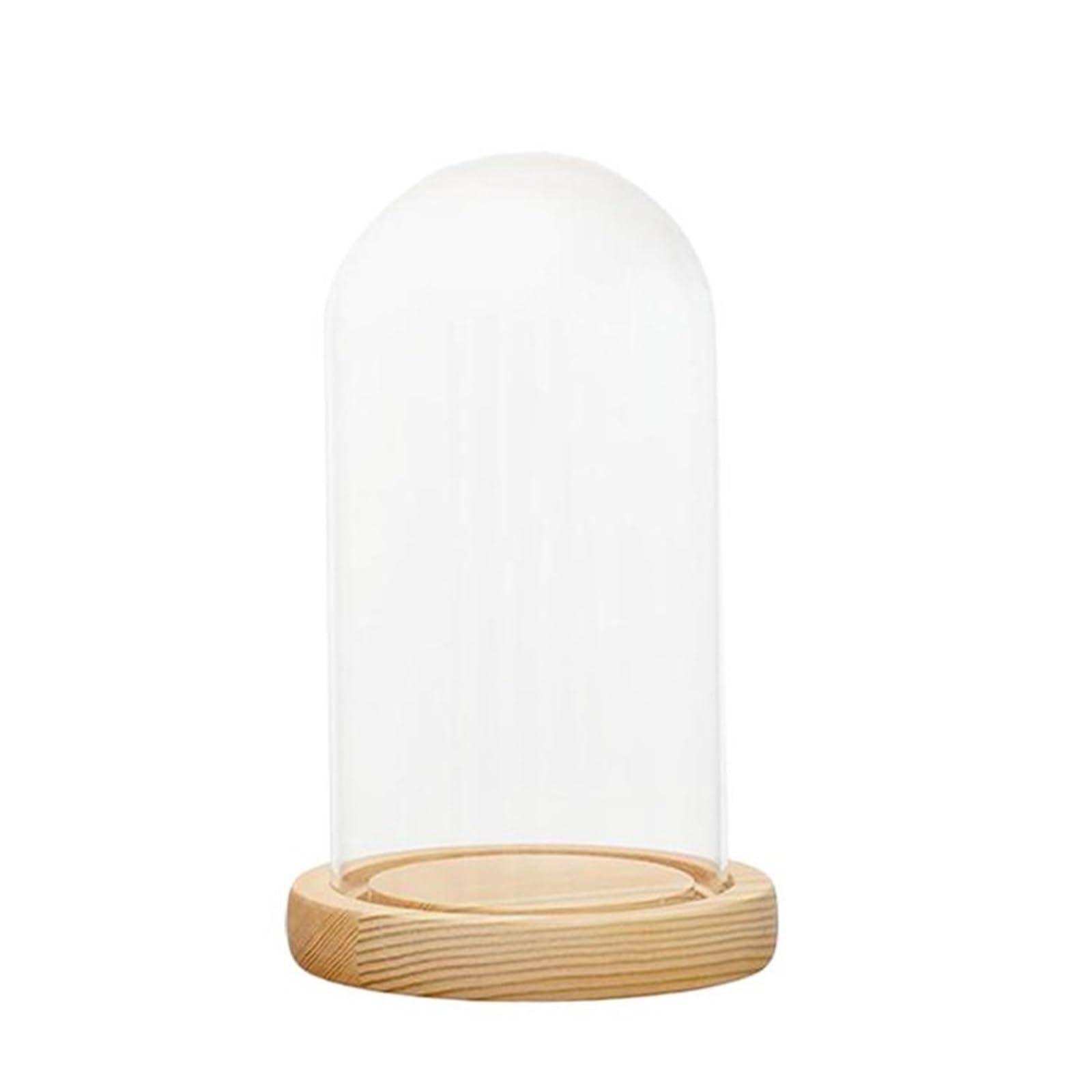 Wyqxty One Color Clear Glass Cloche Display Glass Cloche Dome Wood Base Clear Display Cover Home Decor Multiple Sizes(12X18cm)